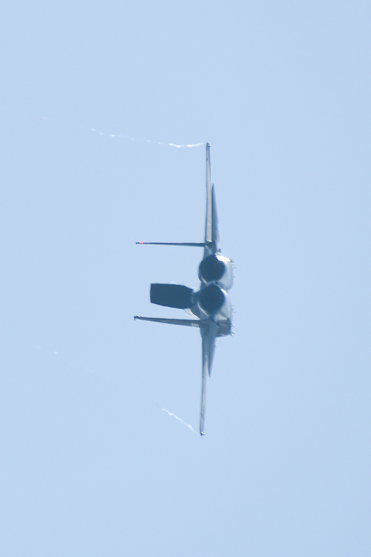 image0509