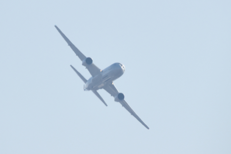 image0549