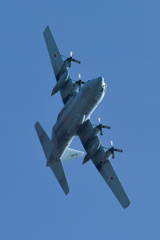 image0693