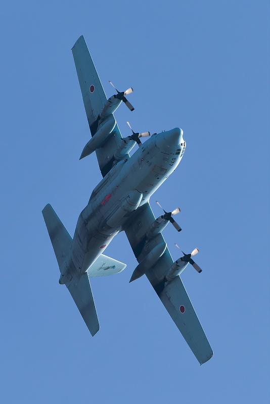 image0694