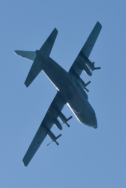 image0711