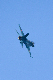 image0155
