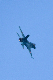 image0157