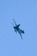 image0158