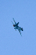 image0159
