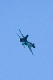 image0160