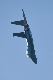image0194