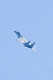 image0204