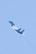 image0205