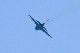 image0229