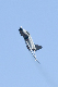 image0242