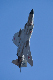 image0247