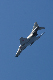 image0252