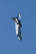 image0253