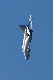 image0254