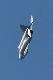 image0255