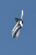 image0257
