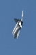 image0258