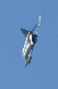 image0259