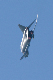 image0260