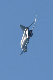 image0261