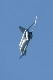 image0262