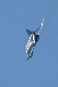 image0264