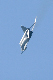 image0265
