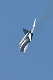 image0266
