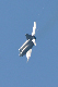image0267
