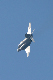 image0268