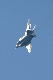 image0269