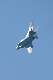 image0271