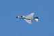 image0285
