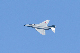 image0286