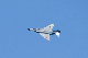 image0287