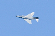 image0288