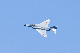 image0290