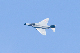 image0291