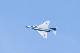 image0292