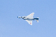 image0293