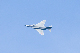 image0294