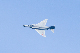 image0296