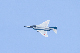 image0297