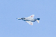 image0298