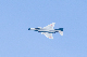 image0300