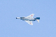 image0301