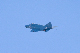 image0313
