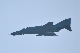 image0333