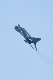 image0342